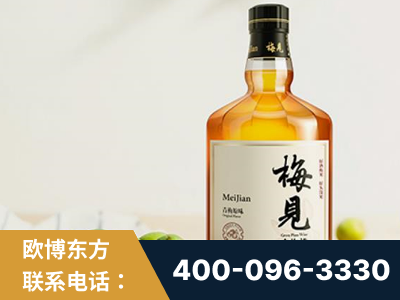 东台-梅见青梅酒